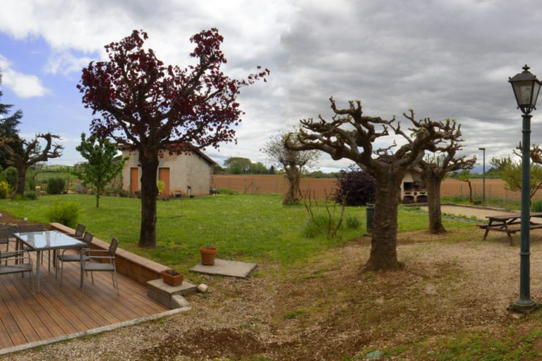 Exterieur-terrasse-d-hote-nid-ecureuil